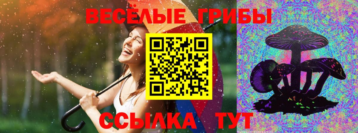 Галлюциногенные грибы мицелий  Вход с VPN  Тихвин 